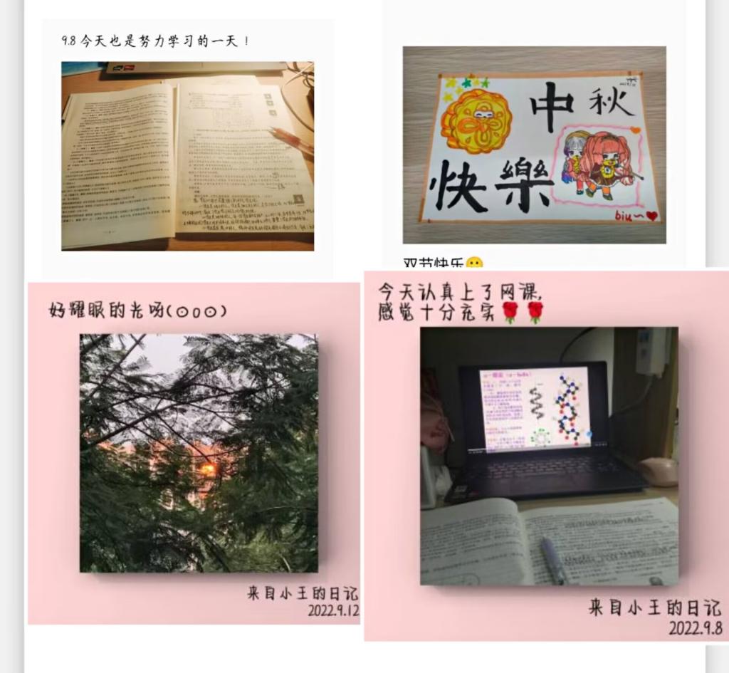 44118太阳成tyc城集团